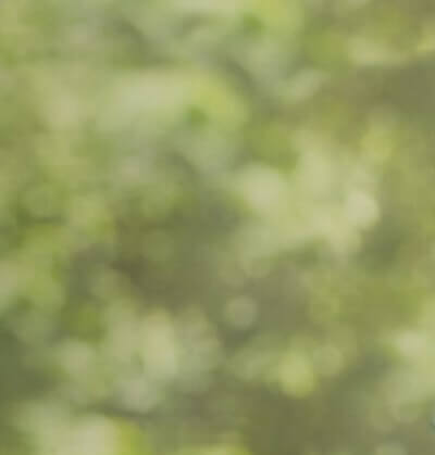 Outdoor Bokeh background at JCPenney Portraits.