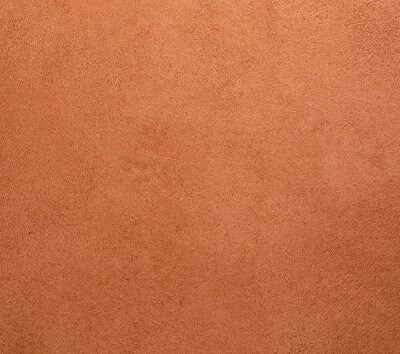 Sienna mini background at JCPenney Portraits.